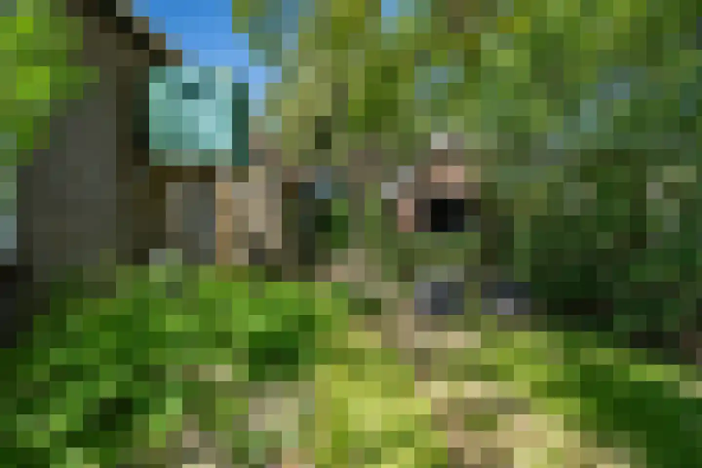 Diphoorn 3 Diphoorn thumbnail 60