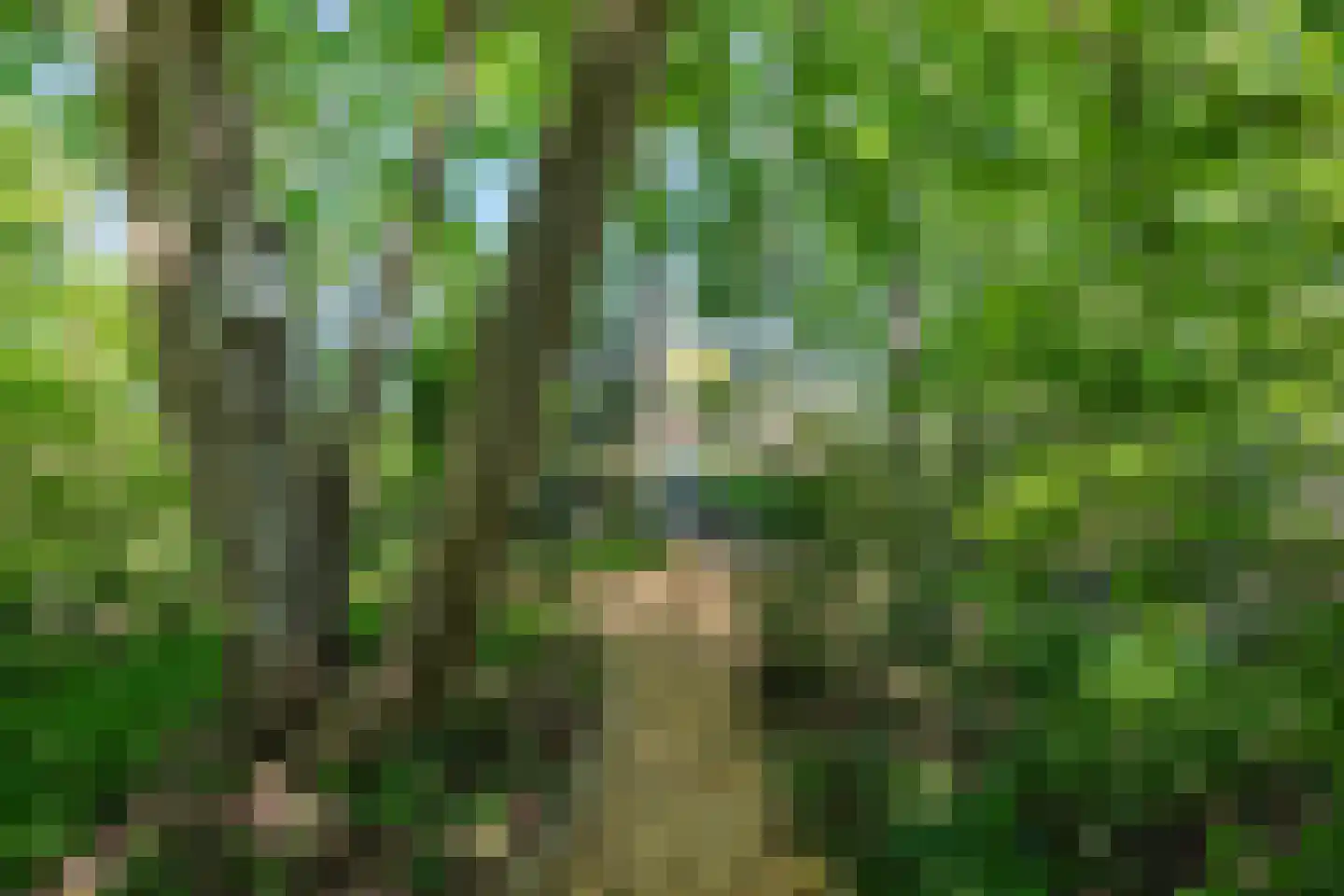 Diphoorn 3 Diphoorn thumbnail 61