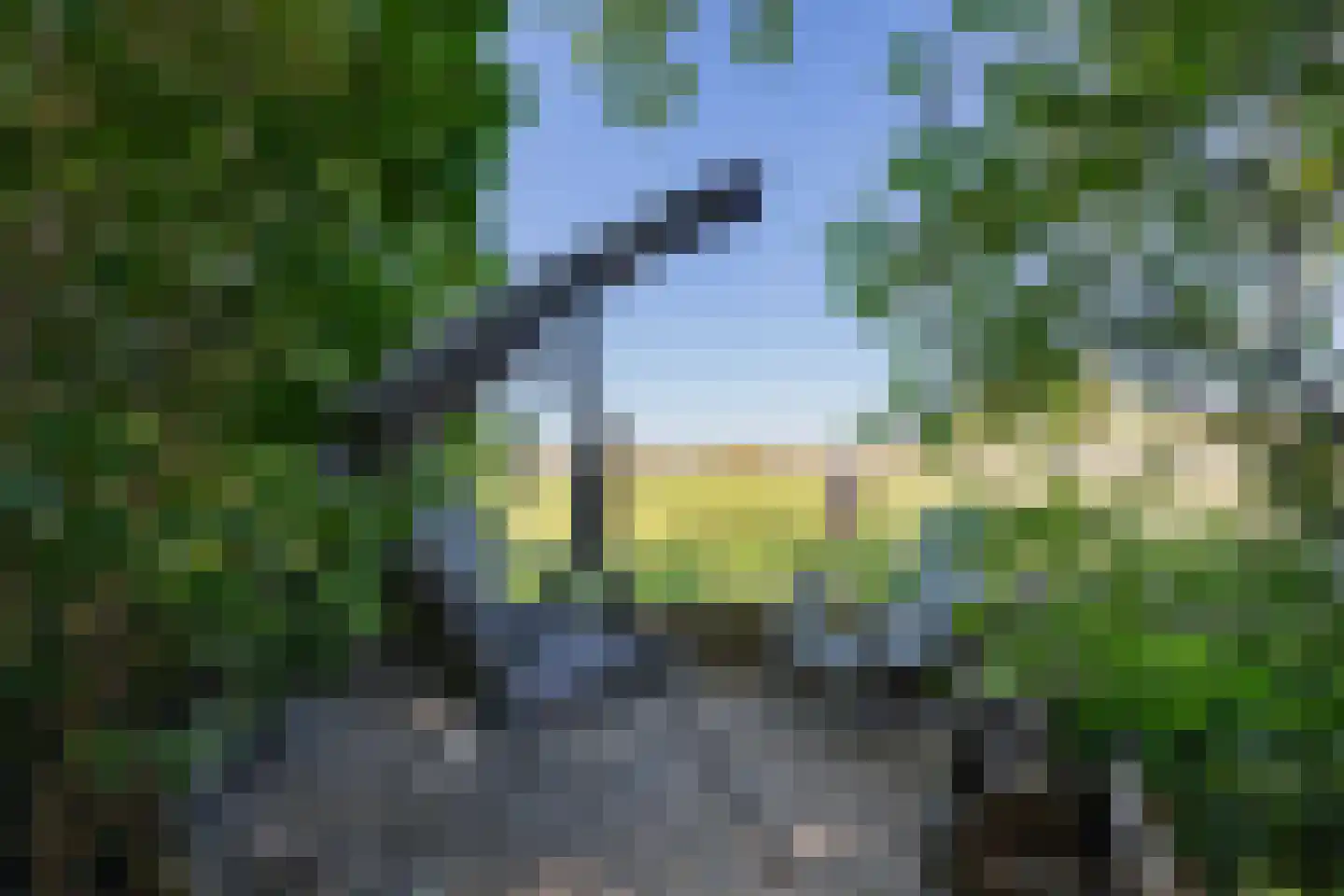 Diphoorn 3 Diphoorn thumbnail 62