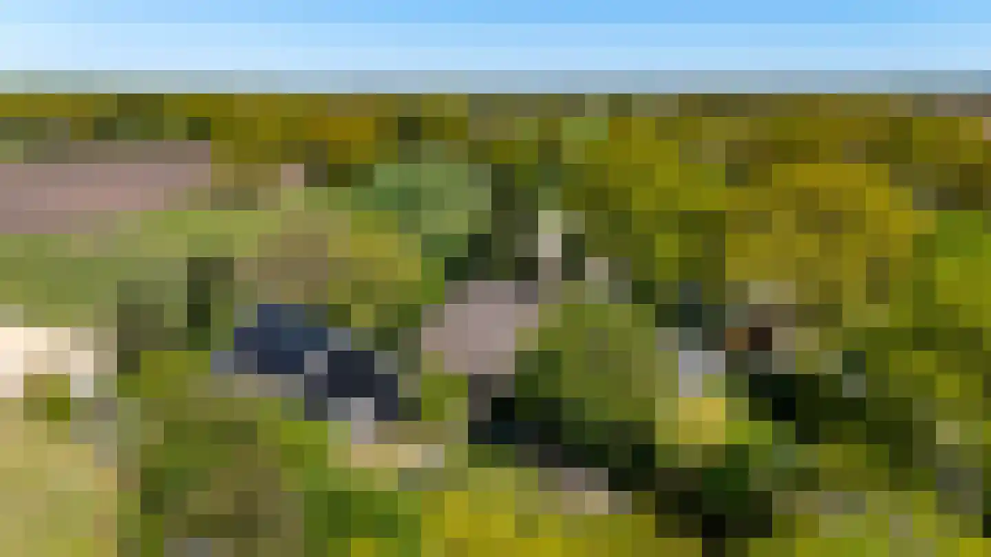 Diphoorn 3 Diphoorn thumbnail 63