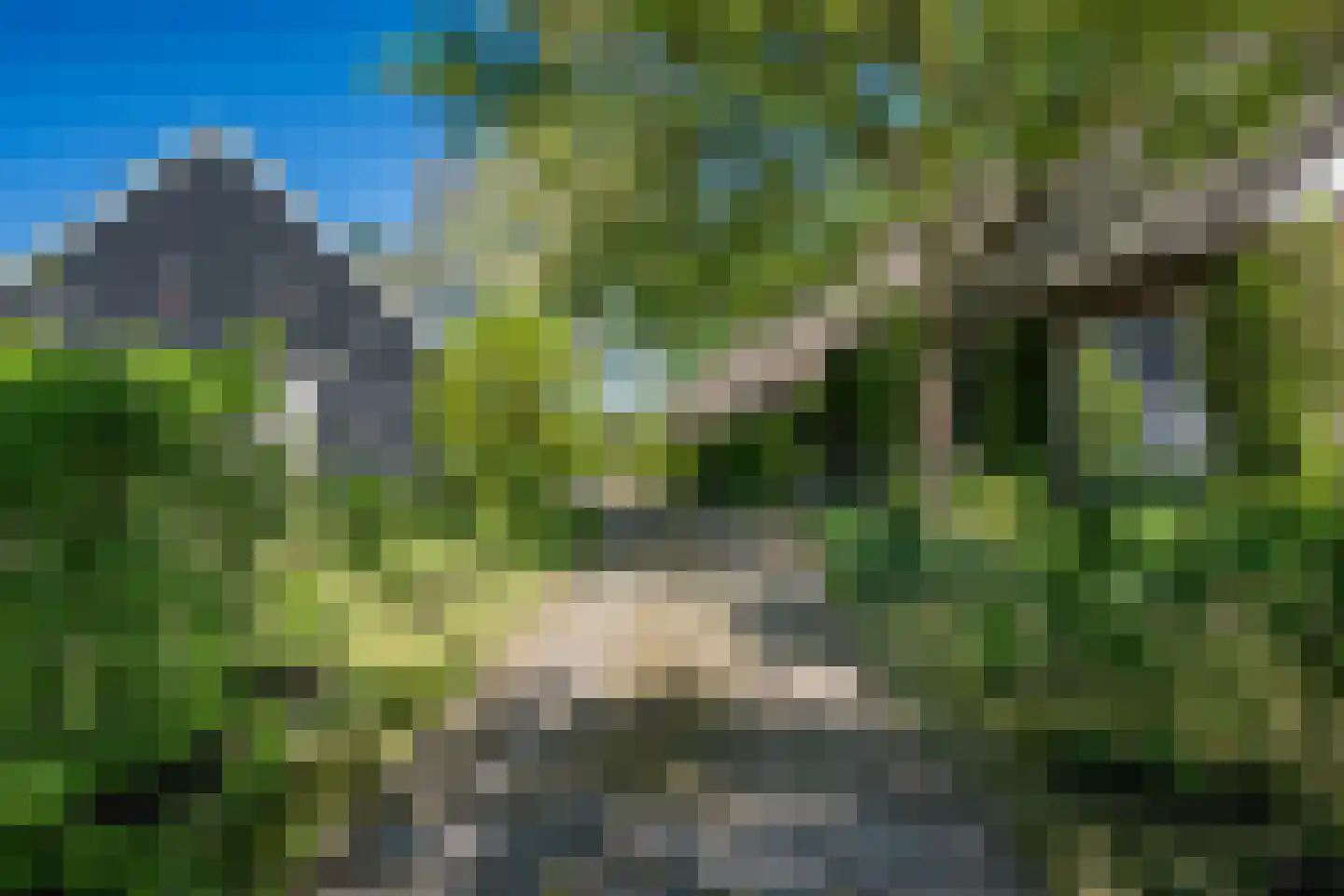 Diphoorn 3 Diphoorn thumbnail 7