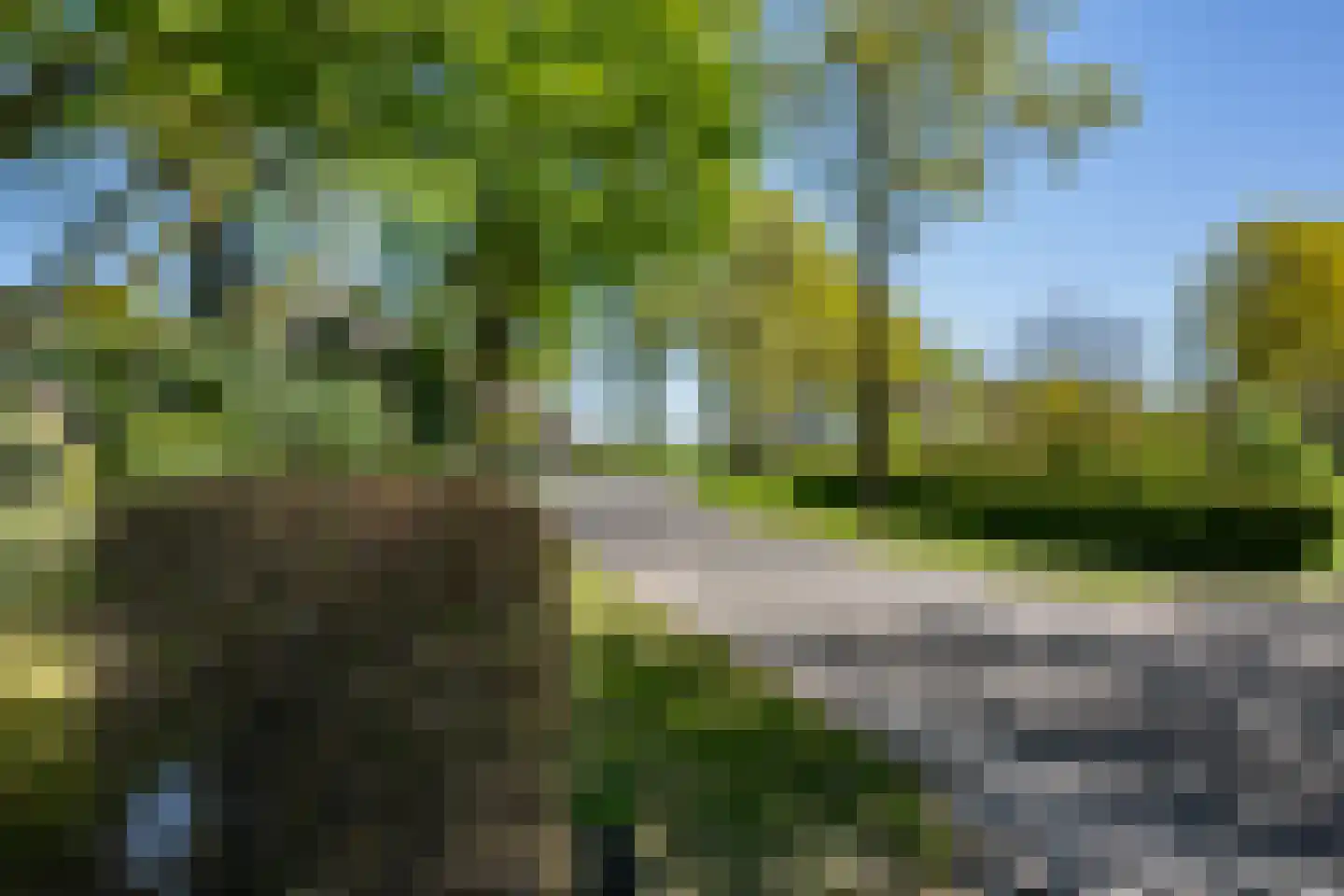 Diphoorn 3 Diphoorn thumbnail 8