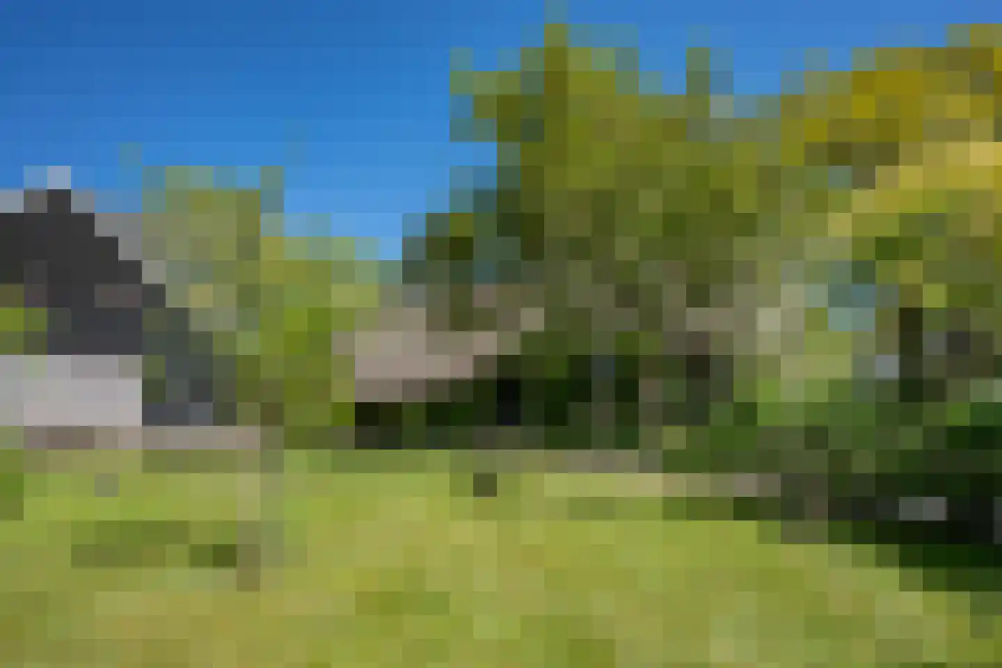 Diphoorn 3 Diphoorn thumbnail 9