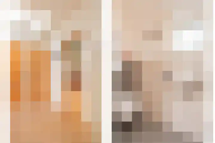 Diphoorn 7 Diphoorn thumbnail 13