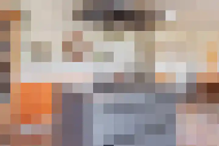 Diphoorn 7 Diphoorn thumbnail 26