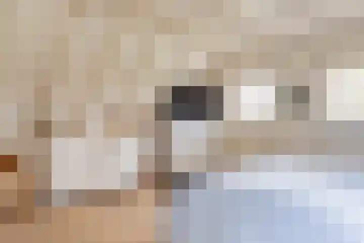 Diphoorn 7 Diphoorn thumbnail 31