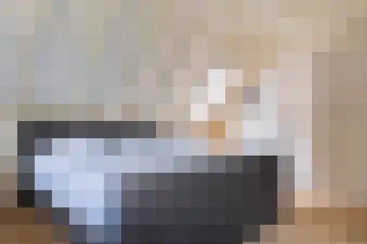 Diphoorn 7 Diphoorn thumbnail 33