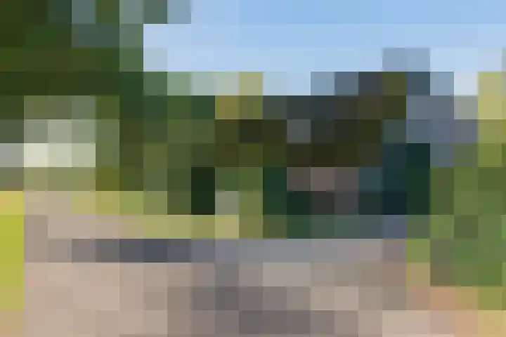 Diphoorn 7 Diphoorn thumbnail 4