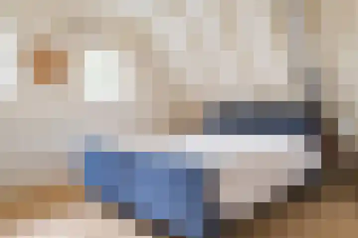 Diphoorn 7 Diphoorn thumbnail 41