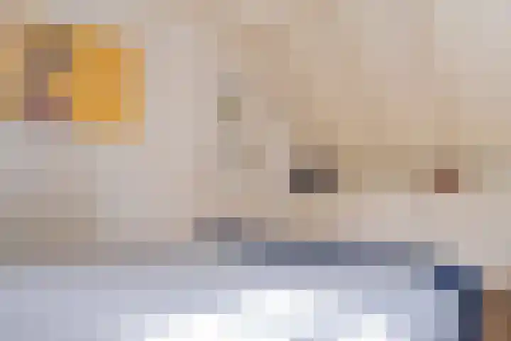 Diphoorn 7 Diphoorn thumbnail 42