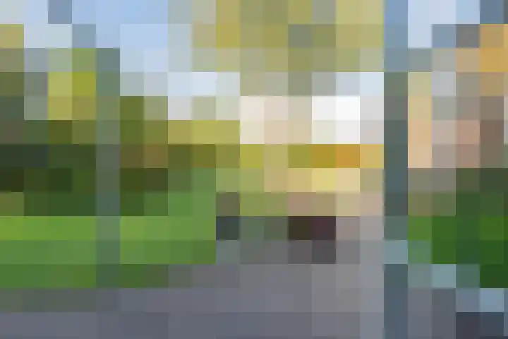 Diphoorn 7 Diphoorn thumbnail 44
