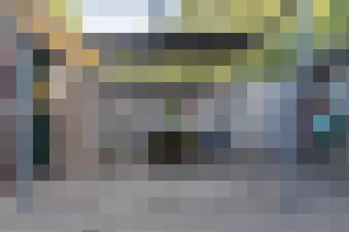 Diphoorn 7 Diphoorn thumbnail 46