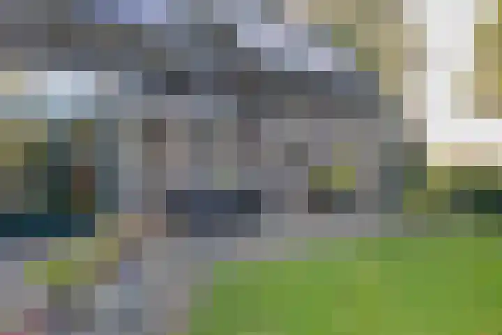 Diphoorn 7 Diphoorn thumbnail 47