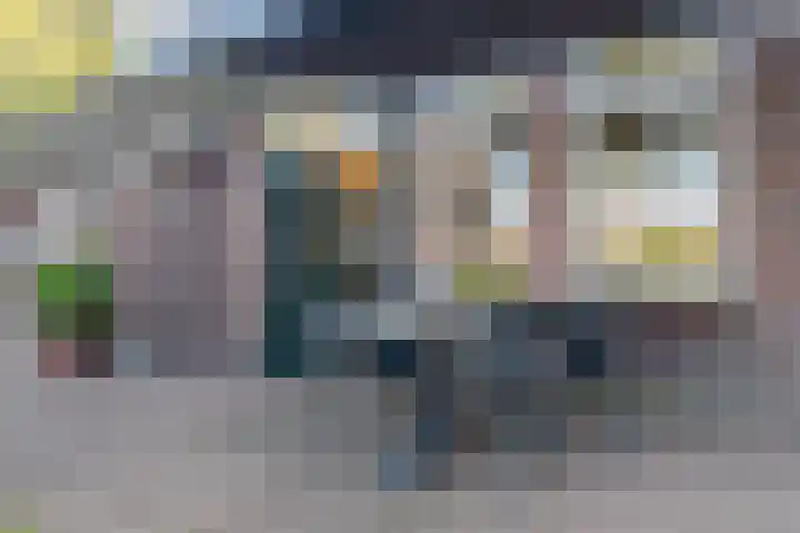 Diphoorn 7 Diphoorn thumbnail 48