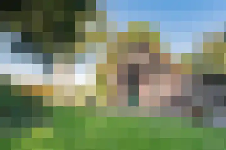 Diphoorn 7 Diphoorn thumbnail 49