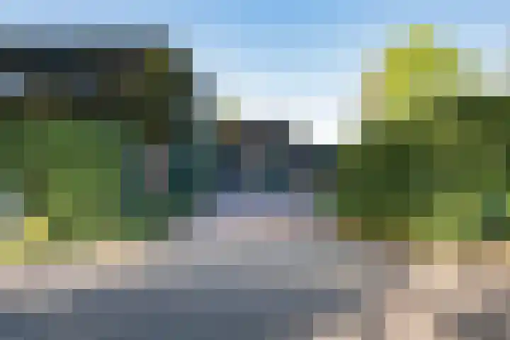 Diphoorn 7 Diphoorn thumbnail 5