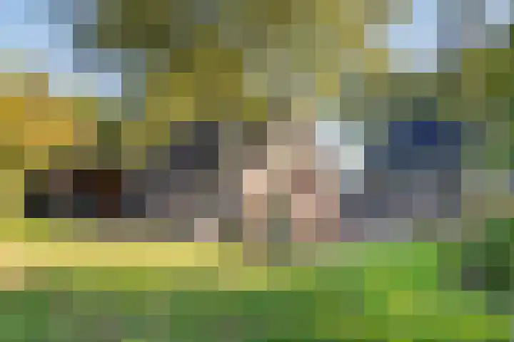 Diphoorn 7 Diphoorn thumbnail 50
