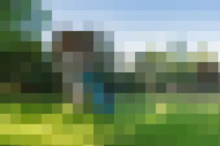 Diphoorn 7 Diphoorn thumbnail 53