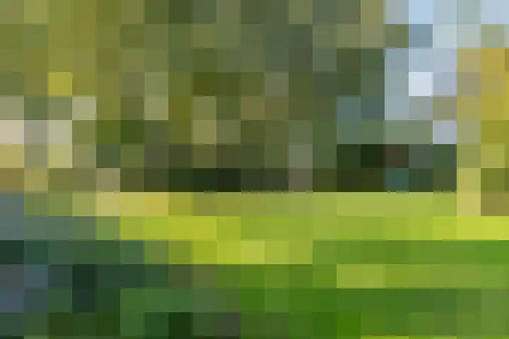 Diphoorn 7 Diphoorn thumbnail 54