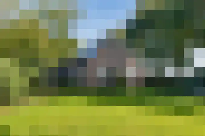 Diphoorn 7 Diphoorn thumbnail 55