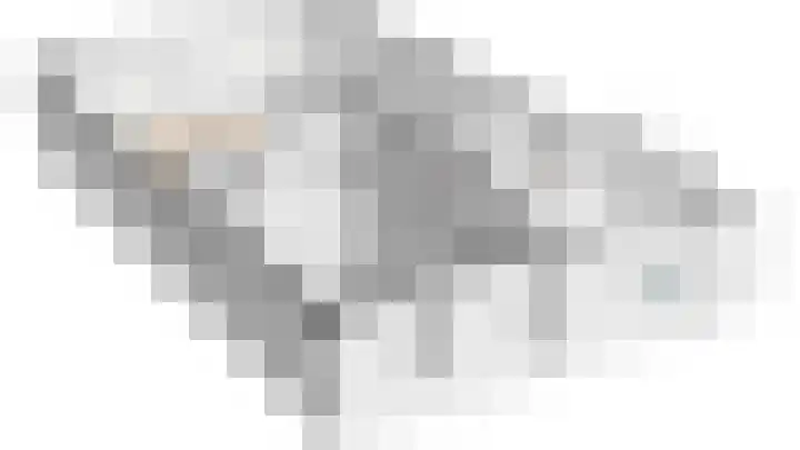 Diphoorn 7 Diphoorn thumbnail 58