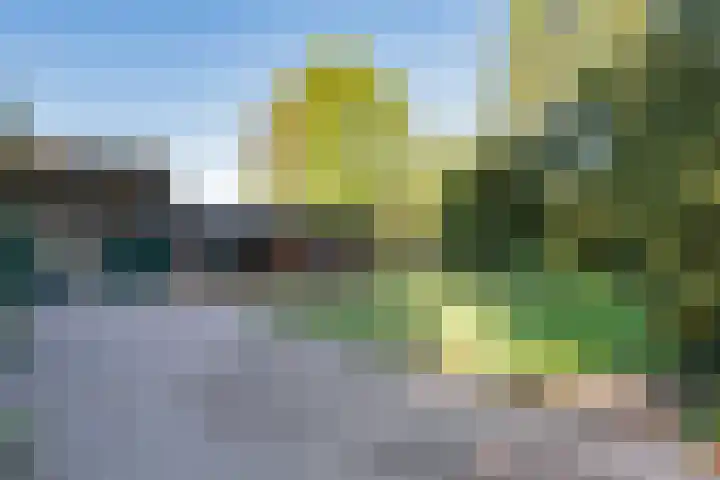 Diphoorn 7 Diphoorn thumbnail 6