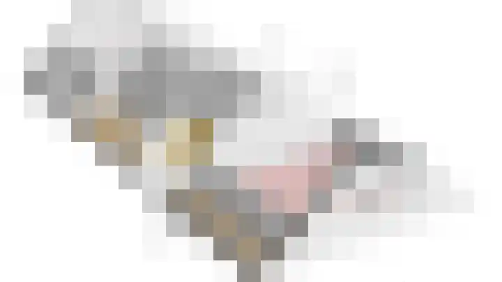 Diphoorn 7 Diphoorn thumbnail 60