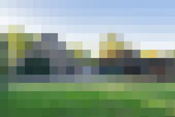 Diphoorn 7 Diphoorn thumbnail 7