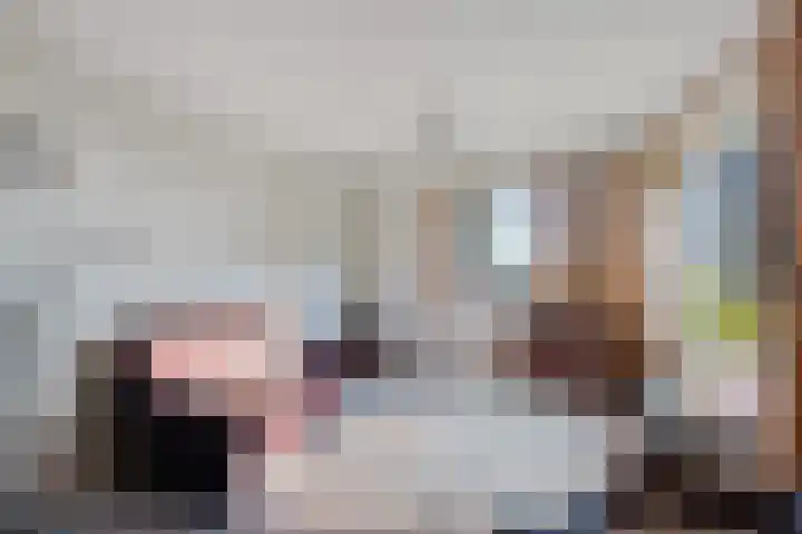Diphoorn 8 Diphoorn thumbnail 12
