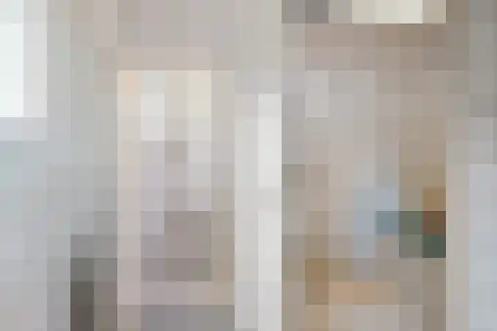 Diphoorn 8 Diphoorn thumbnail 14