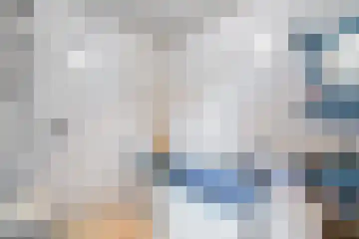 Diphoorn 8 Diphoorn thumbnail 15