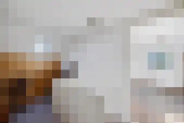 Diphoorn 8 Diphoorn thumbnail 17
