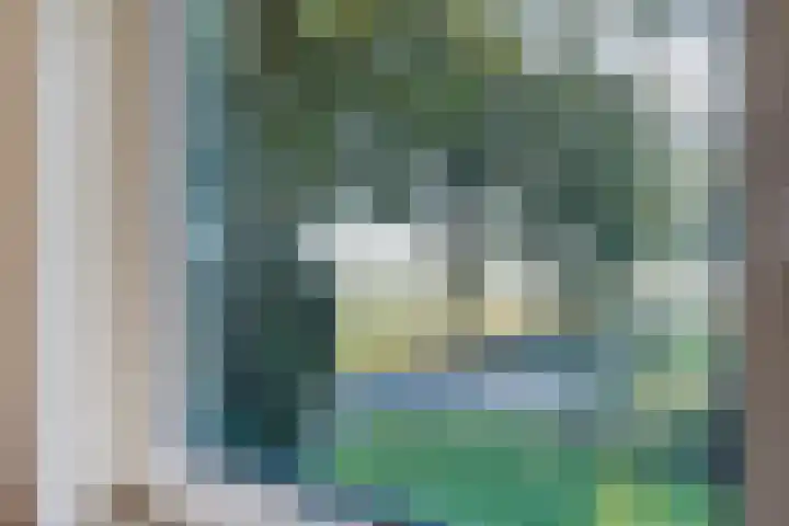 Diphoorn 8 Diphoorn thumbnail 19