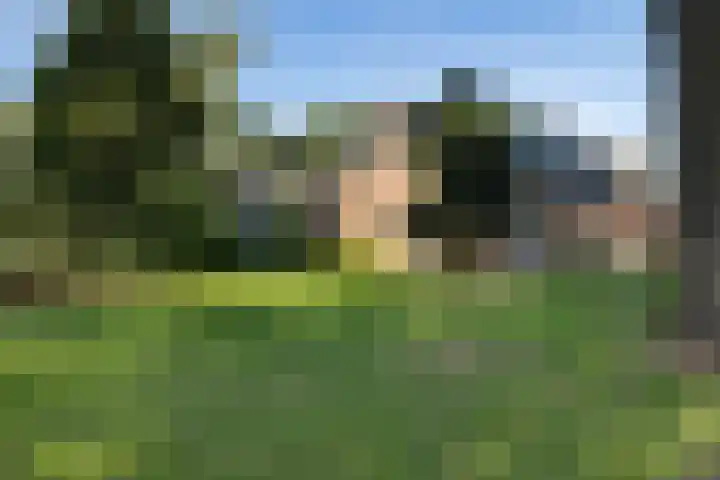 Diphoorn 8 Diphoorn foto 2