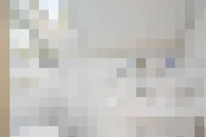 Diphoorn 8 Diphoorn thumbnail 20
