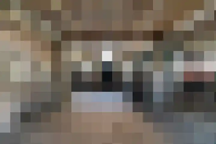 Diphoorn 8 Diphoorn thumbnail 23