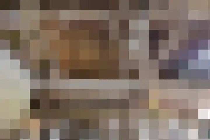Diphoorn 8 Diphoorn thumbnail 24