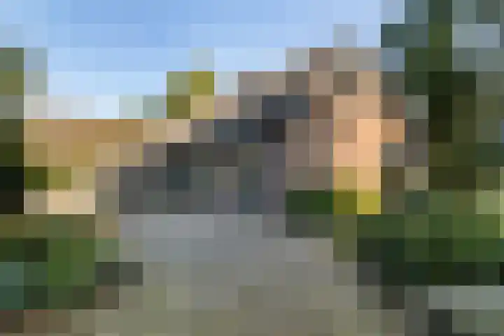 Diphoorn 8 Diphoorn thumbnail 25