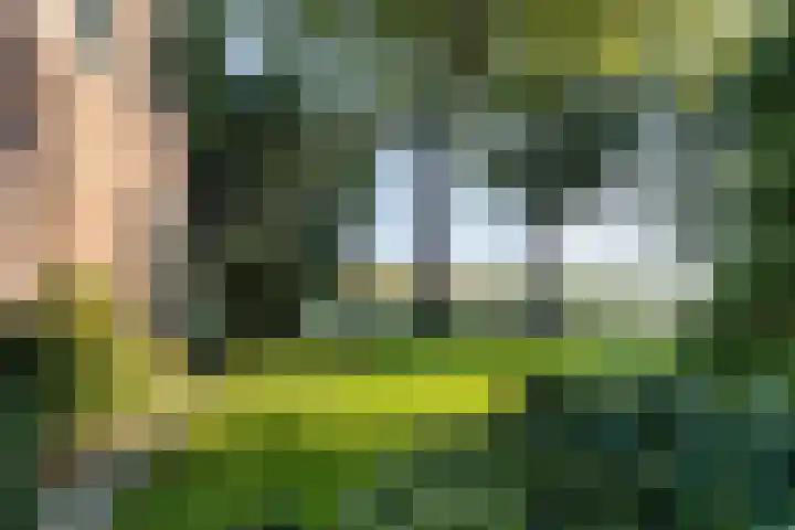 Diphoorn 8 Diphoorn thumbnail 26