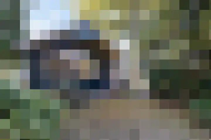 Diphoorn 8 Diphoorn thumbnail 27