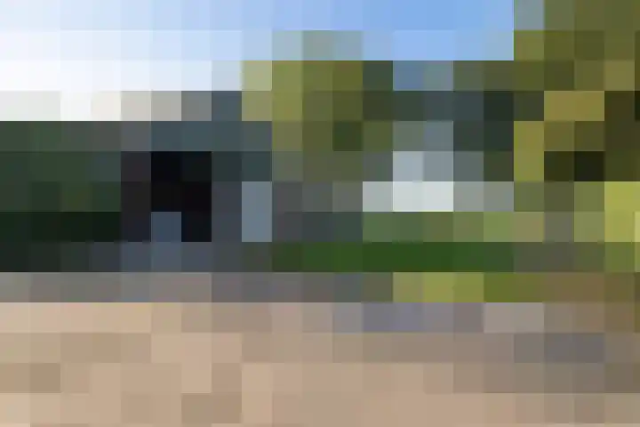 Diphoorn 8 Diphoorn thumbnail 28
