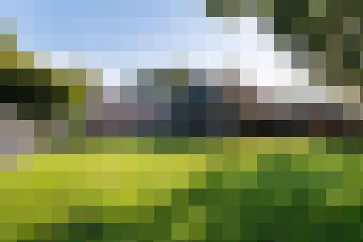 Diphoorn 8 Diphoorn thumbnail 29
