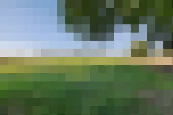 Diphoorn 8 Diphoorn thumbnail 30