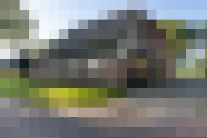 Diphoorn 8 Diphoorn thumbnail 32