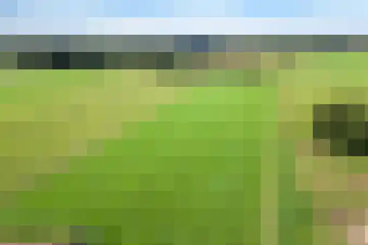 Diphoorn 8 Diphoorn thumbnail 34