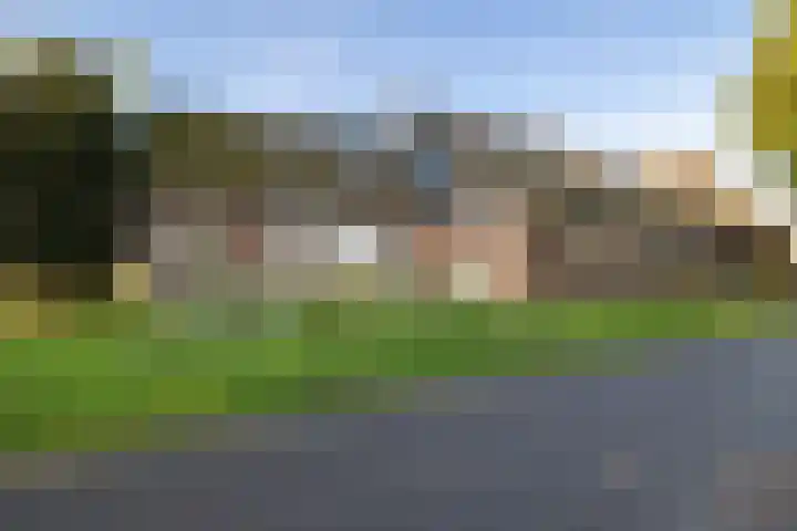 Diphoorn 8 Diphoorn thumbnail 4