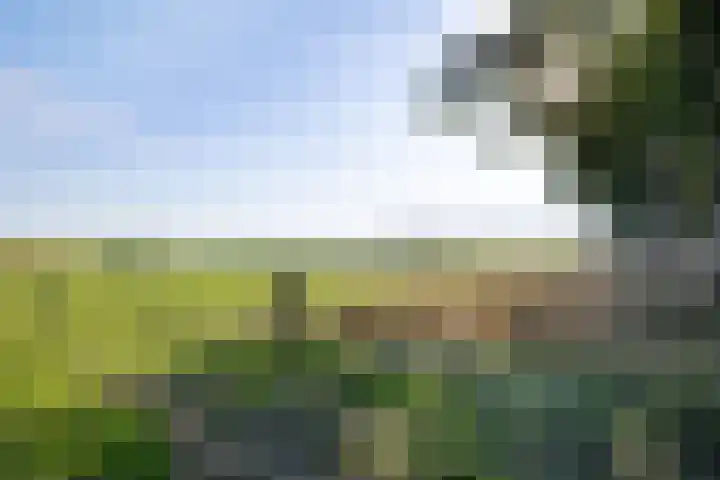 Diphoorn 8 Diphoorn thumbnail 6