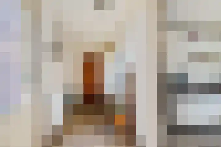 Diphoorn 8 Diphoorn thumbnail 7