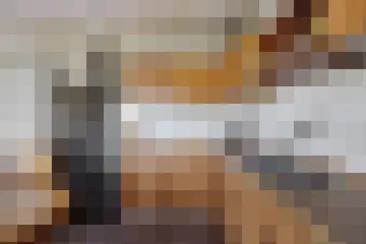 Diphoorn 8 Diphoorn thumbnail 9