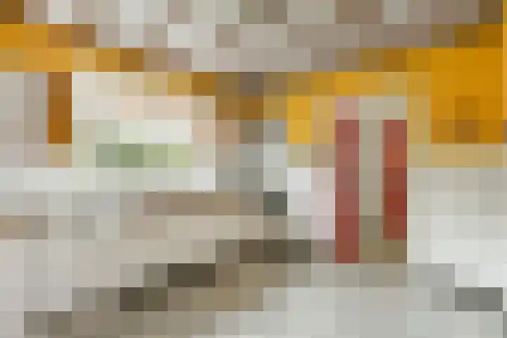 Dippert 12 Bavel thumbnail 10